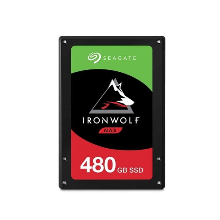 ssd-480g-seagate-ironwolf-110